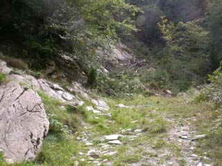 le départ du sentier