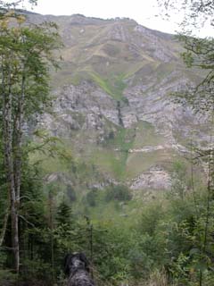 les barres au-dessus d'holçarté