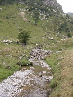 le ruisseau d'ardané