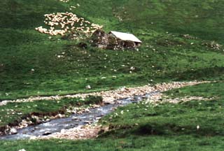 le refuge d'ardané gagnékoa