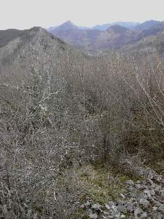 descente vers Lichans