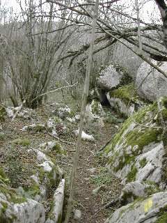 descente dans les rochers