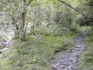 on monte à l'ombre