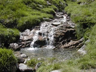 là, il y a de l'eau dans le ruisseau !