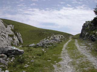 rive droite des gorges