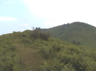 avant le col de la losère