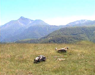 panorama depuis le sommet