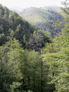 vue sur Bostmenditte