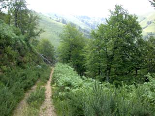 la piste est parfois obstruée