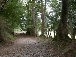 sous les châtaigniers