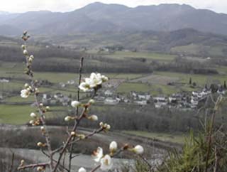 Abense, route de Lichans