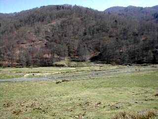 arrivée sur le plateau d'Iraty