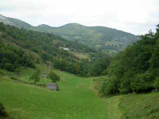 calme champêtre