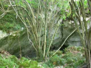 entrée d'une grotte